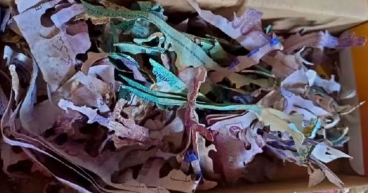 'I stashed &pound;5,000 life savings in cardboard box - then my worst nightmare came true'