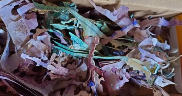 Keep money in biscuit tin instead? Malaysian grandma's $8,700 savings eaten by termites