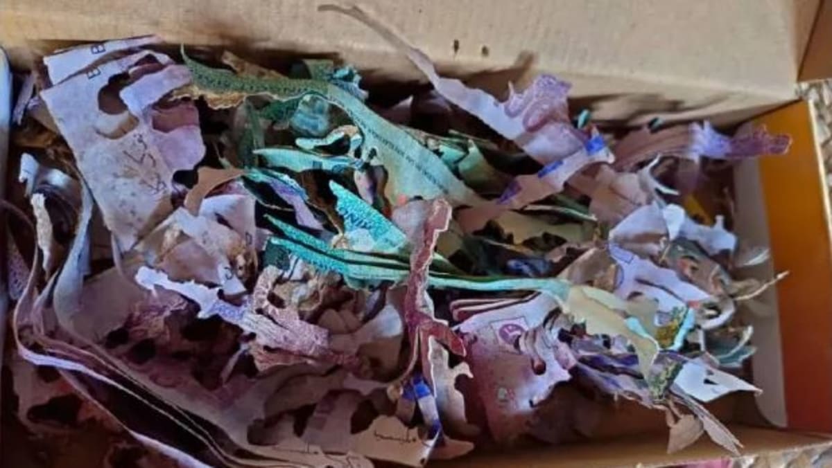 Malaysian grandmother's haj savings lost to termites