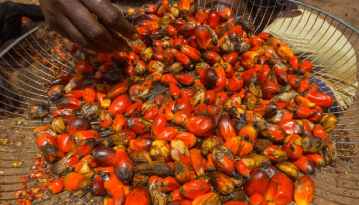 Malaysia exports to Nigeria rise 20.7% on Palm Oil demand
